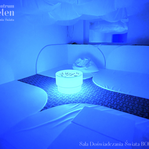 Sala Doświadczania Świata BOBOBIT Łomża poziom