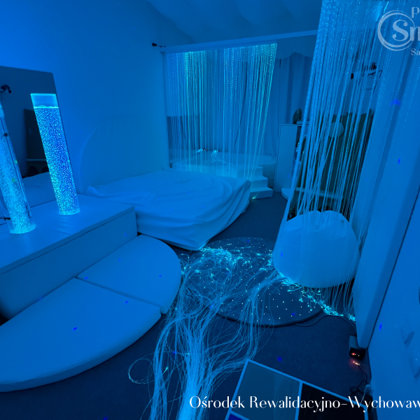 Sala Doświadczania Świata- Fundacja Pomocy Dzieciom Niepełnosprawnym "Uśmiech Dziecka", Szklana